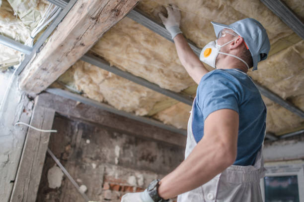 Carrier Mills, IL Insulation Contractor Company