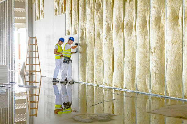 Best Cellulose Insulation in Carrier Mls, IL